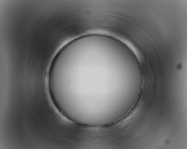 X0000103420999200809121008