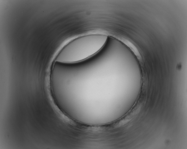 X0000103421000200809121008