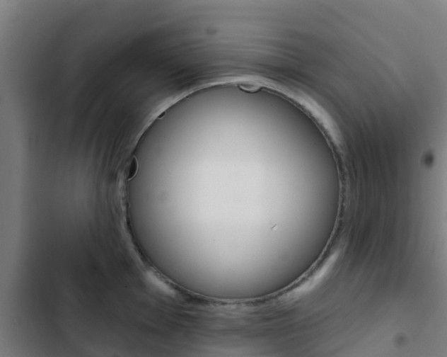 X0000103421001200809121008