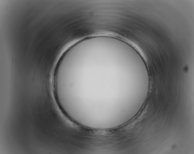 X0000103421003200809121008