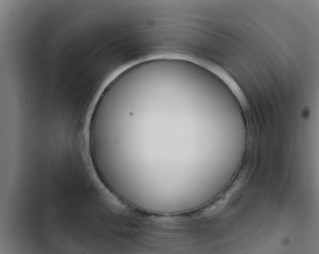 X0000103421004200809121008