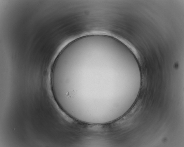 X0000103421006200809121008