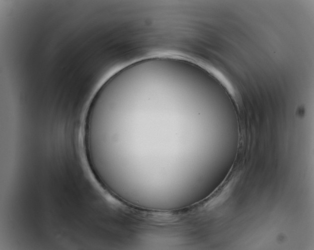 X0000103421007200809121008