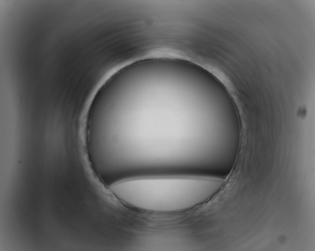X0000103421008200809121008