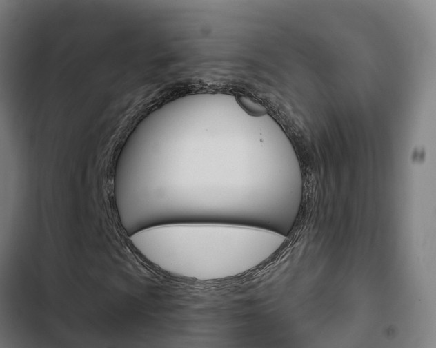 X0000103421009200809121007