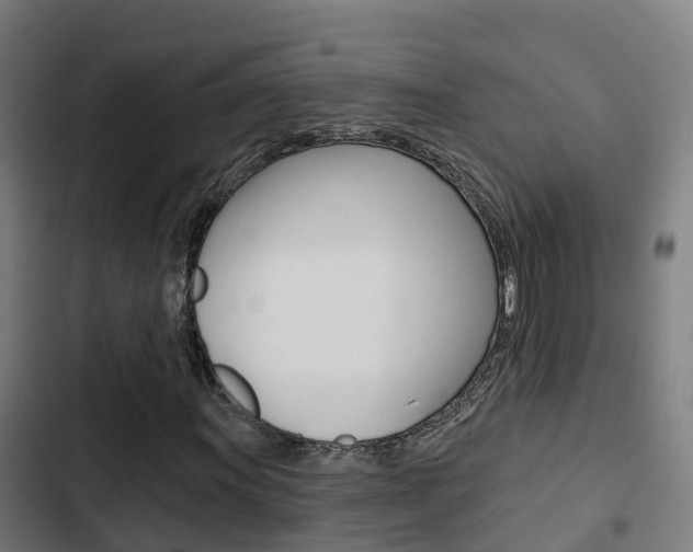 X0000103421011200809121007