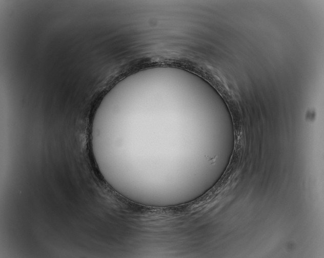 X0000103421012200809121007