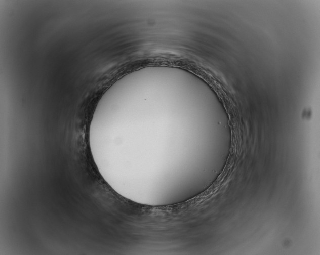 X0000103421013200809121007