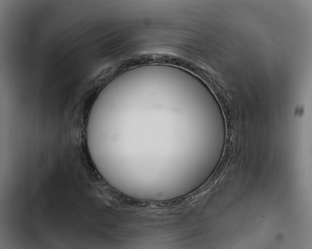 X0000103421014200809121007