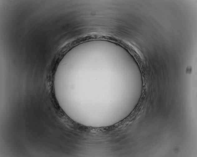 X0000103421015200809121007