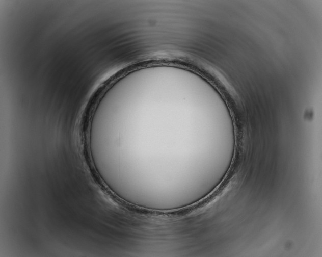 X0000103421018200809121007