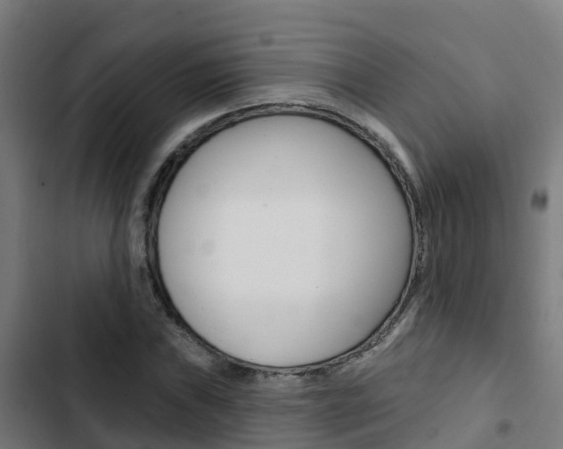 X0000103421019200809121007