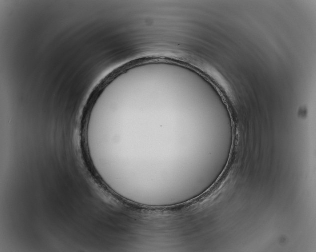 X0000103421020200809121007
