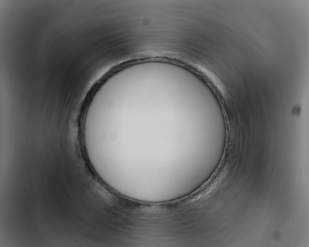X0000103421023200809121007