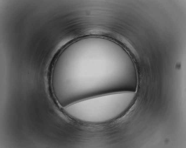 X0000103421026200809121007
