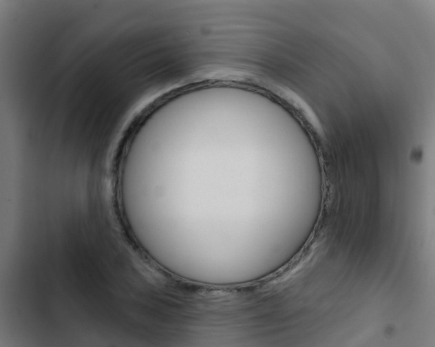 X0000103421027200809121007