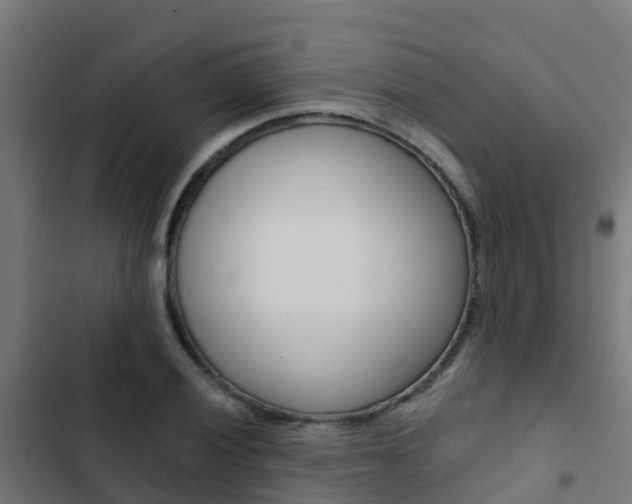 X0000103421028200809121007