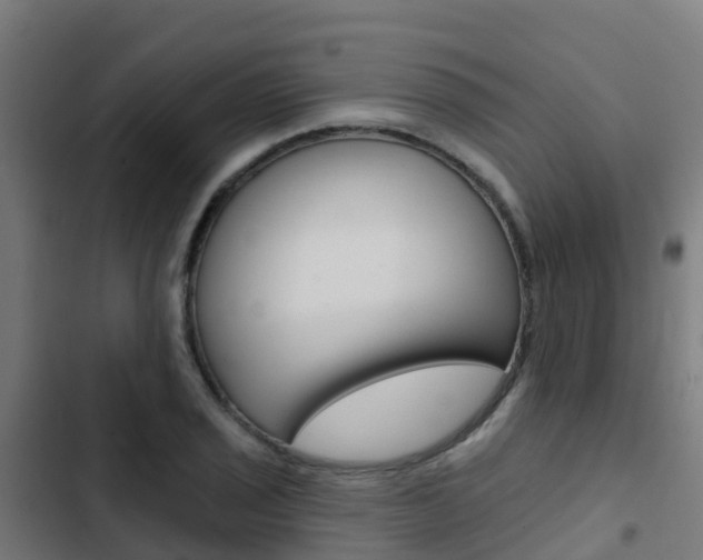 X0000103421029200809121007