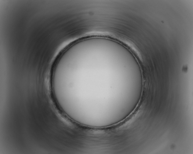 X0000103421030200809121007
