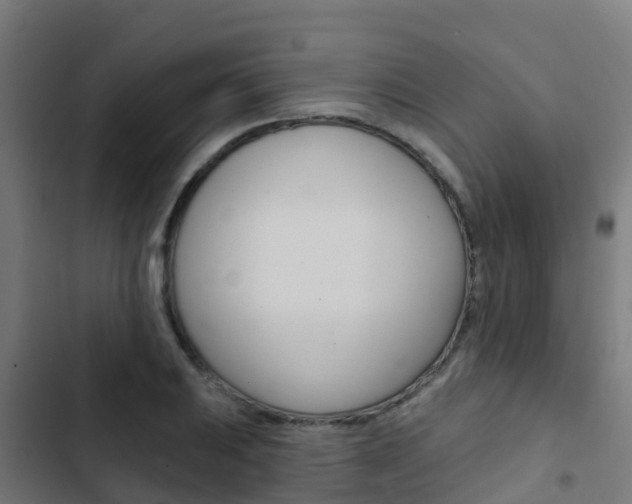X0000103421031200809121007