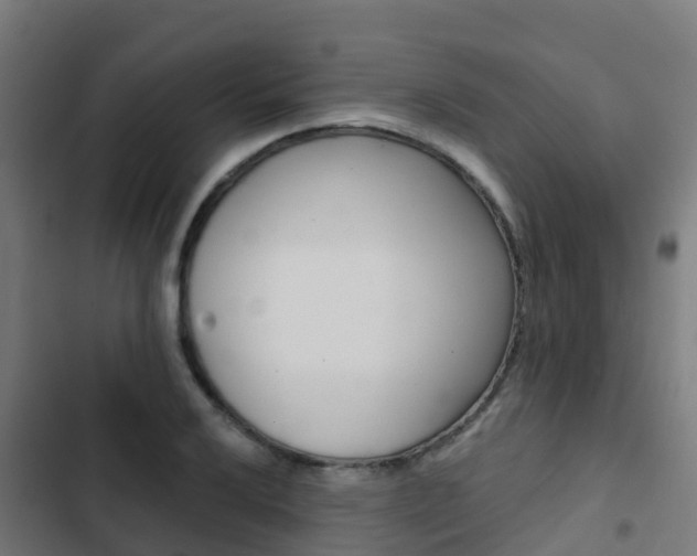 X0000103421032200809121007
