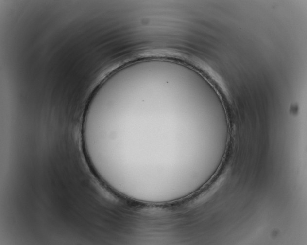 X0000103421033200809121007