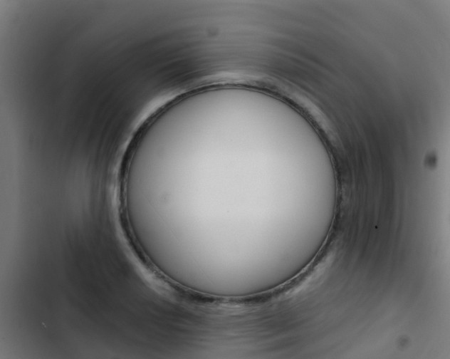 X0000103421034200809121007