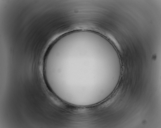 X0000103421035200809121007