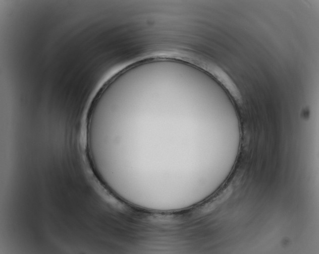 X0000103421036200809121007