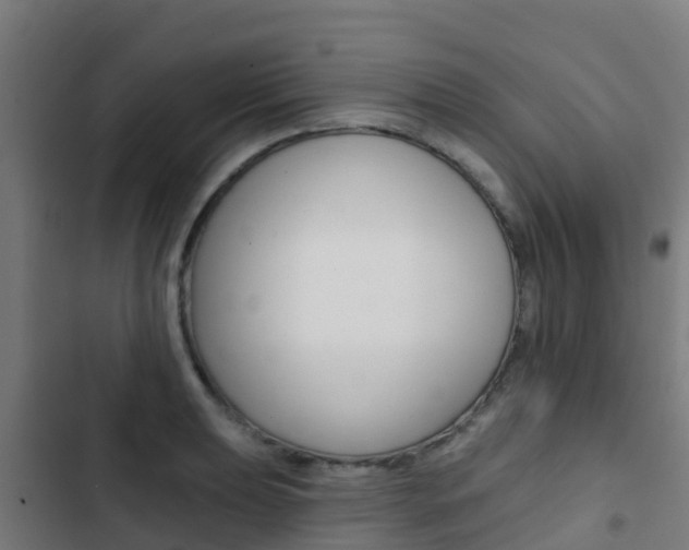 X0000103421039200809121008