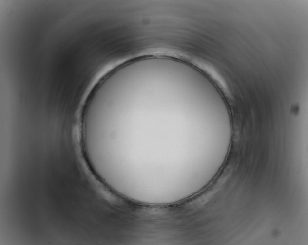 X0000103421040200809121008