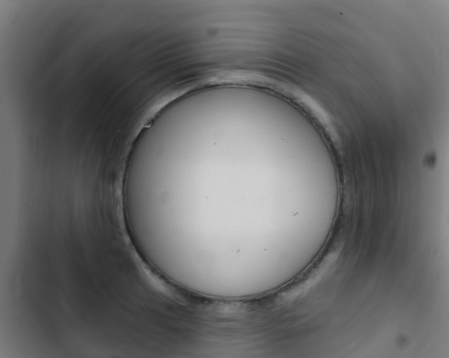 X0000103421041200809121008