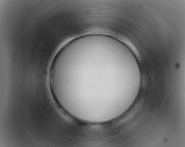 X0000103421043200809121008