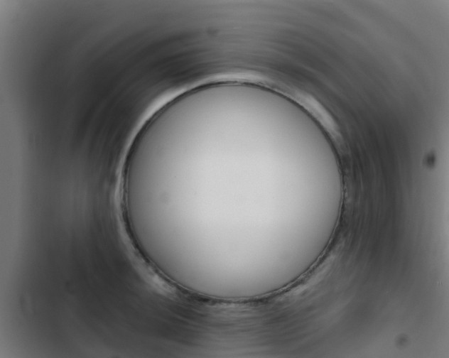 X0000103421044200809121008