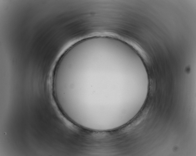 X0000103421046200809121008