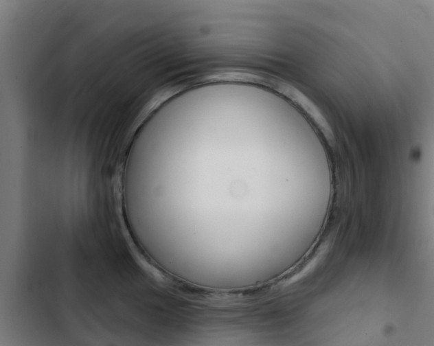 X0000103421049200809121008
