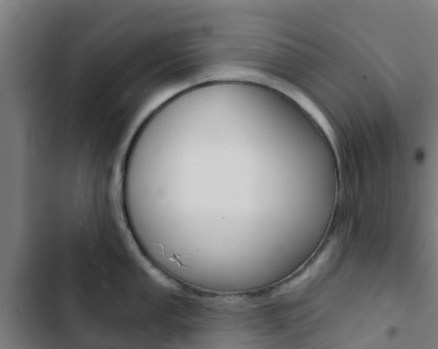 X0000103421053200809121008