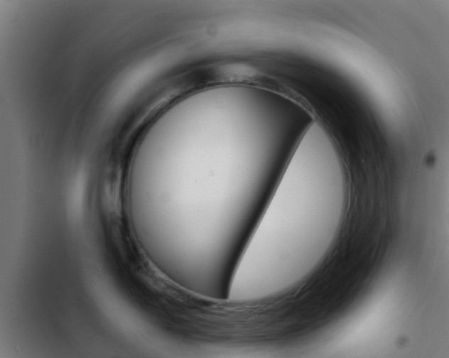 X0000103421054200809121008