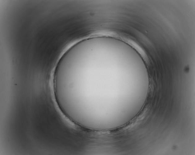 X0000103421055200809121008
