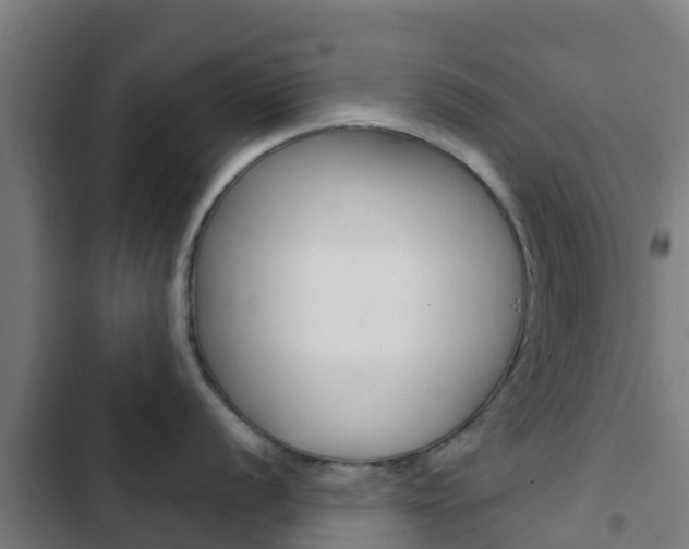 X0000103421056200809121008