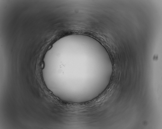 X0000103421057200809121007