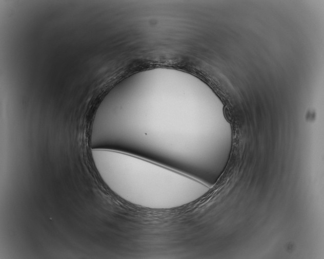 X0000103421058200809121007