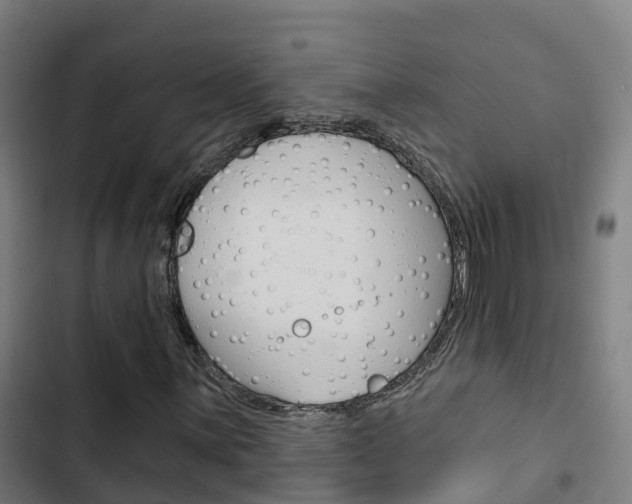 X0000103421059200809121007