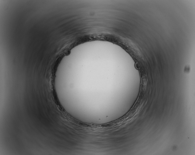 X0000103421060200809121007