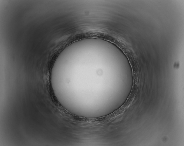 X0000103421061200809121007