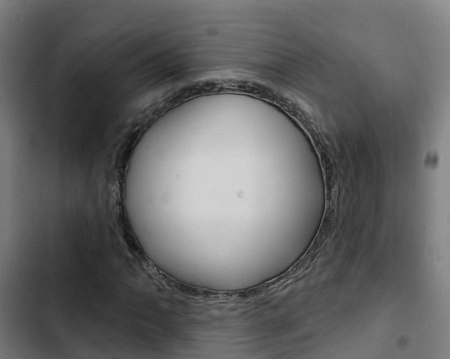 X0000103421062200809121007