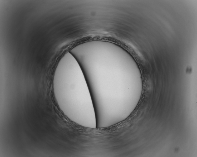 X0000103421063200809121007