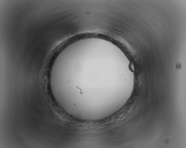 X0000103421064200809121007