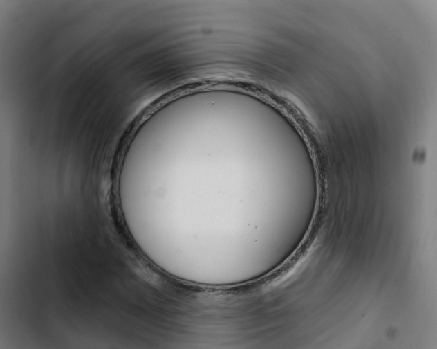 X0000103421065200809121007