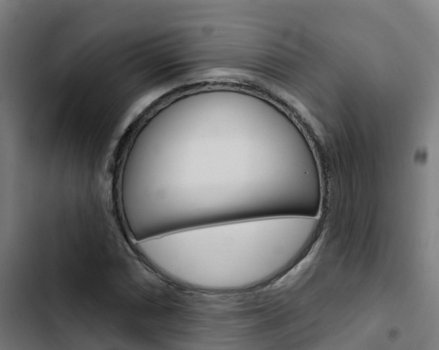 X0000103421066200809121007